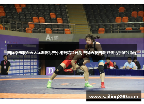 国际拳击联合会大洋洲锦标赛小组赛精彩开战 赛场火花四溅 各国选手激烈角逐 国际拳击联合会大洋洲锦标赛小组赛精彩开战 赛场火花四溅 各国选手激烈角逐